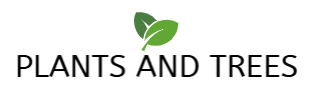 Plants And Trees
